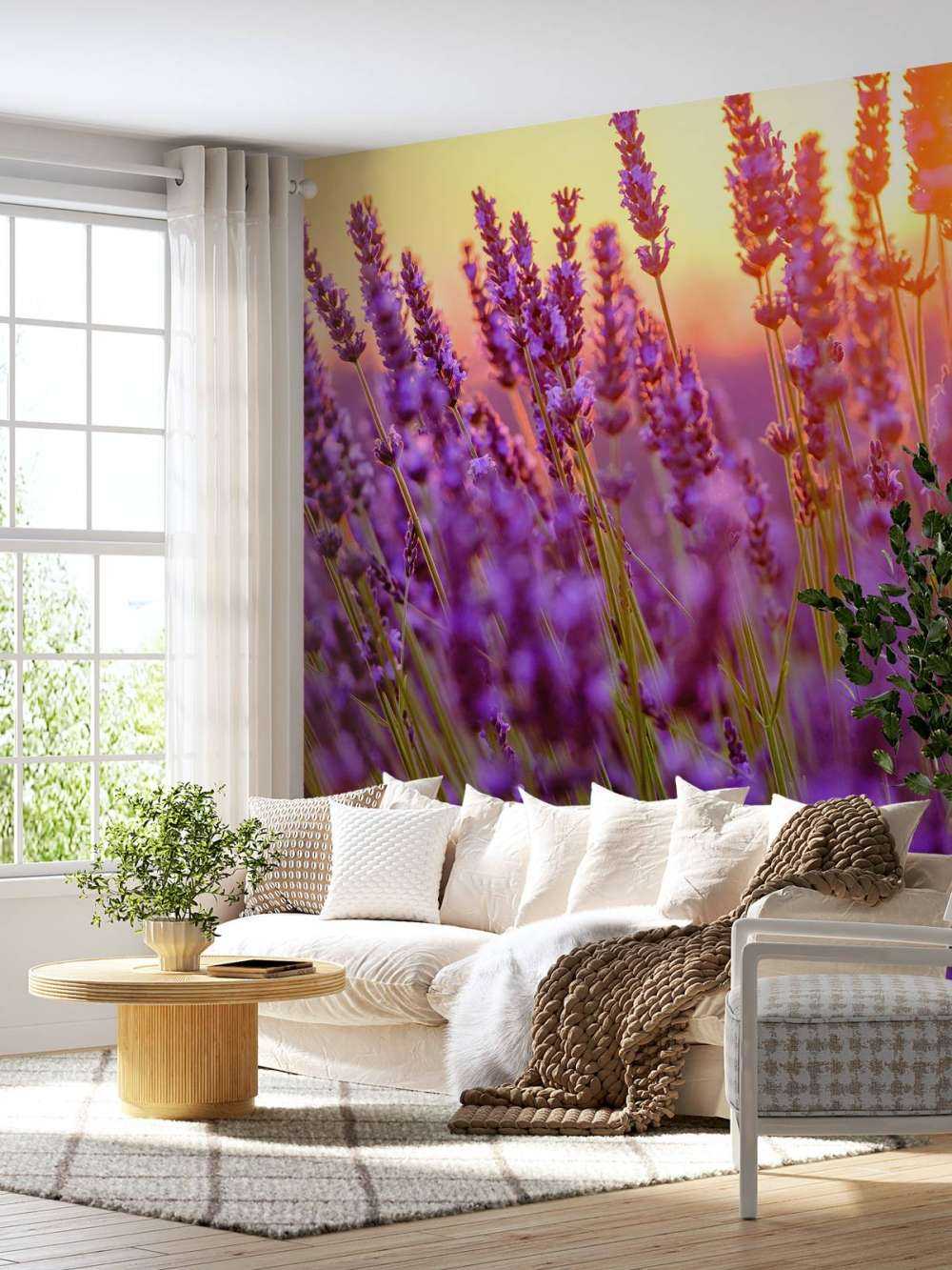 Nærbillede lavendel
