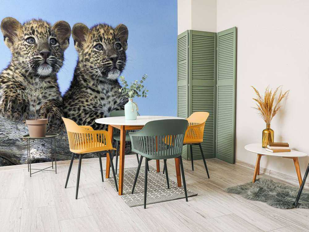 Små leoparder