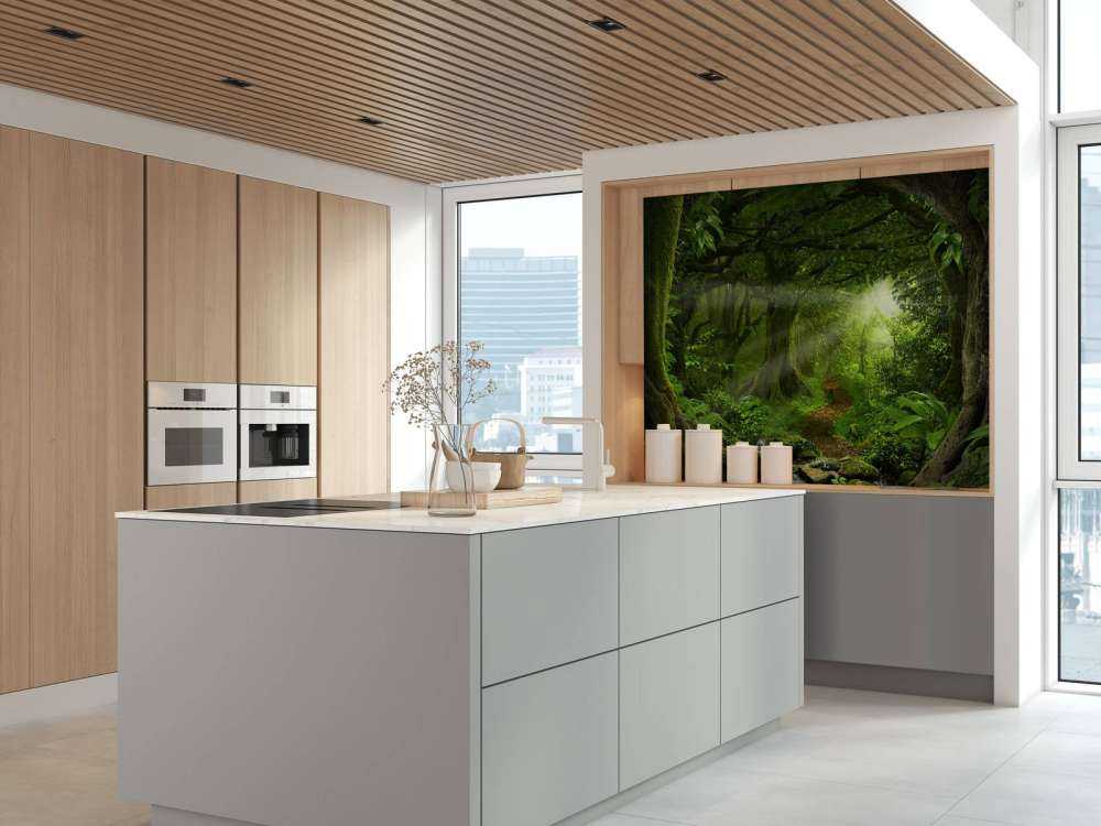 Tropisk jungle med sollys