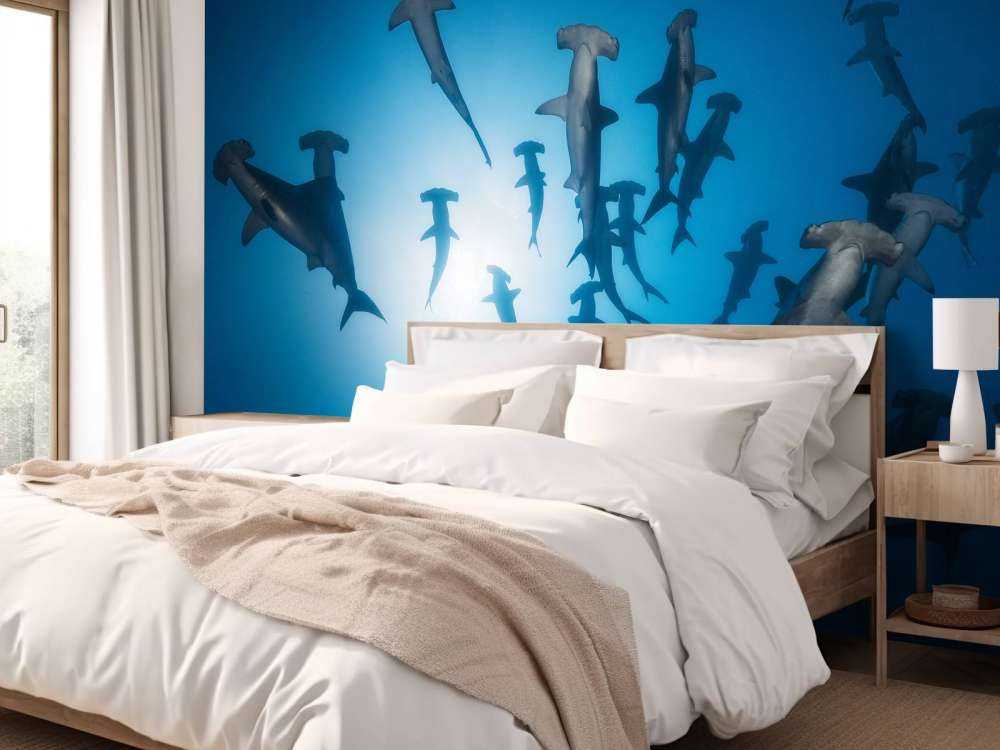 Hammerhead Shark - undervandsfotografering