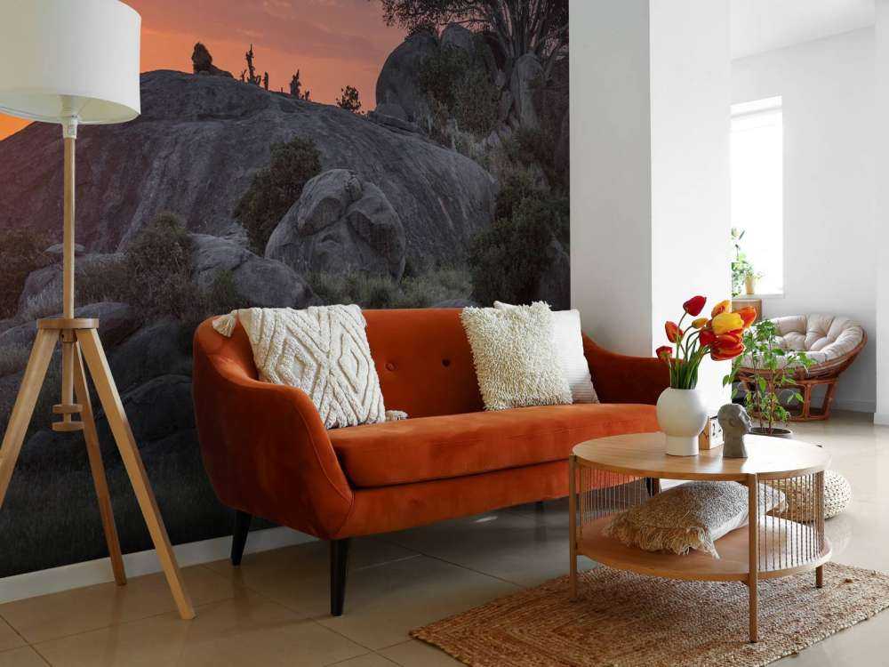 Solnedgang over savannen