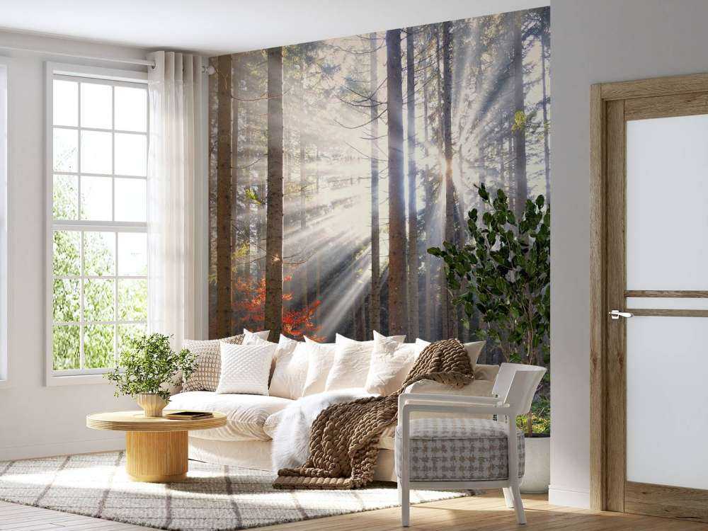 Solskin om efteråret