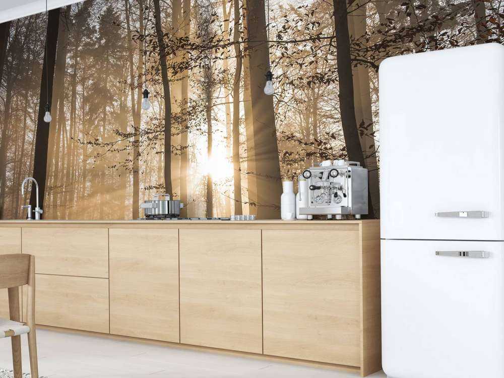 Solskin i en tåget skov