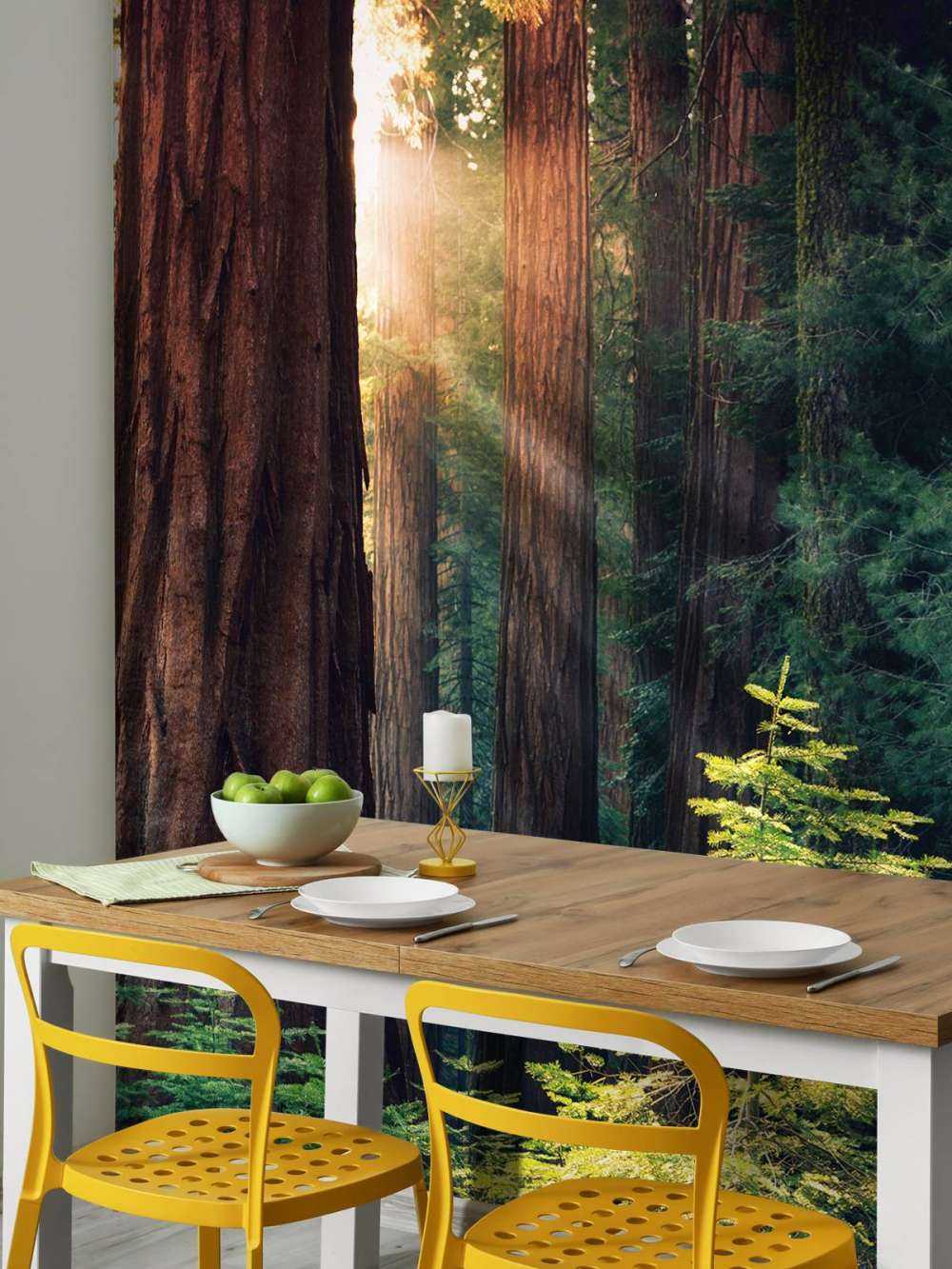 Sollys mellem mahogni-træerne