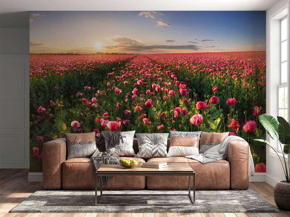 Rosa valmuefelt