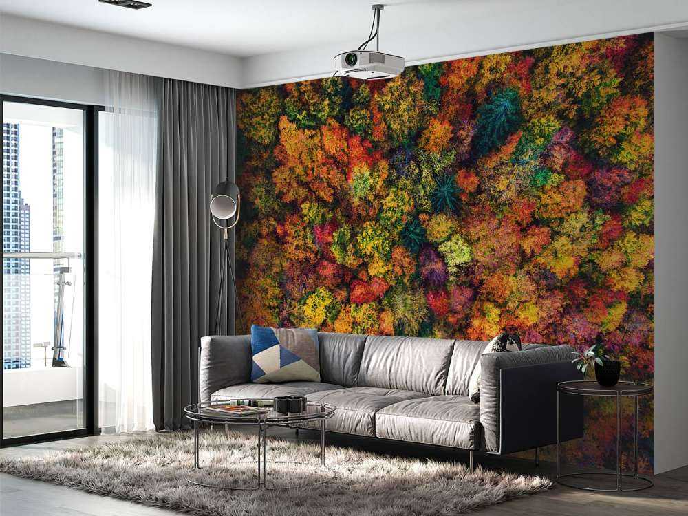 Luftfoto over høstskogen