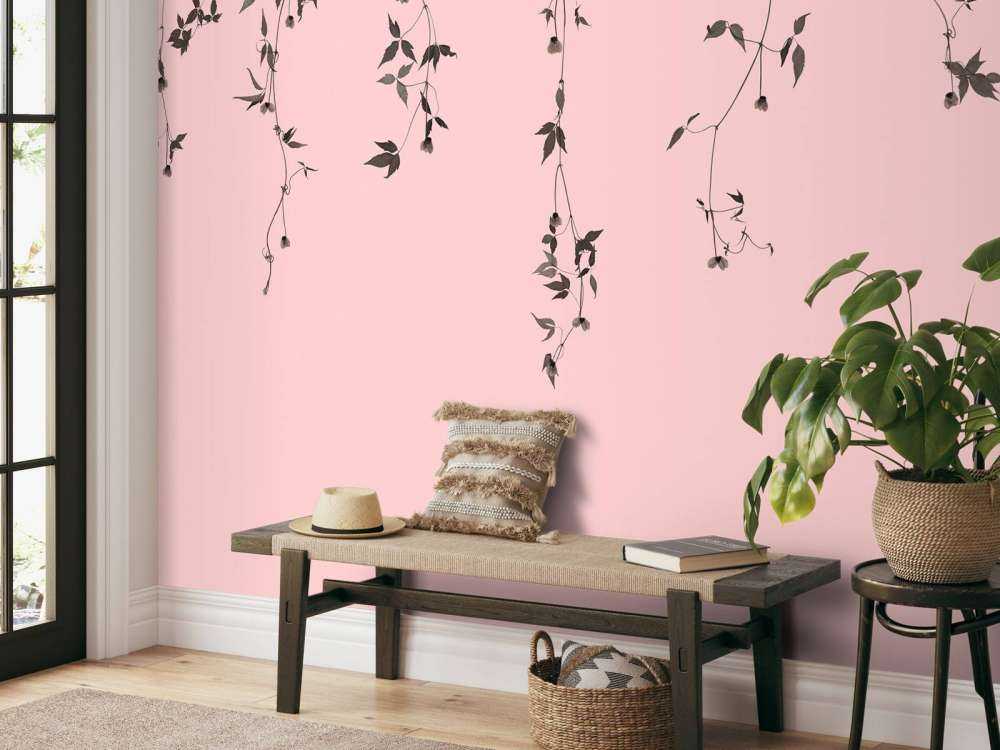 Klematiskvister på gammelrosa