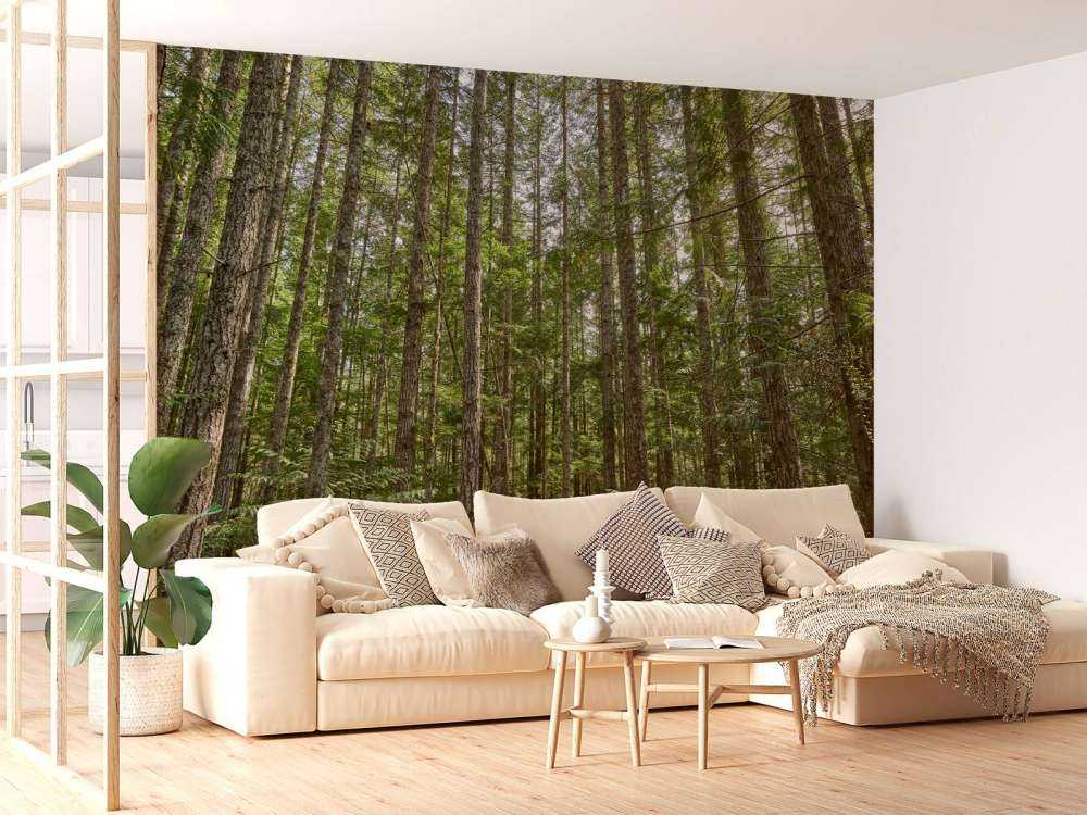 Tynne trær i skogen