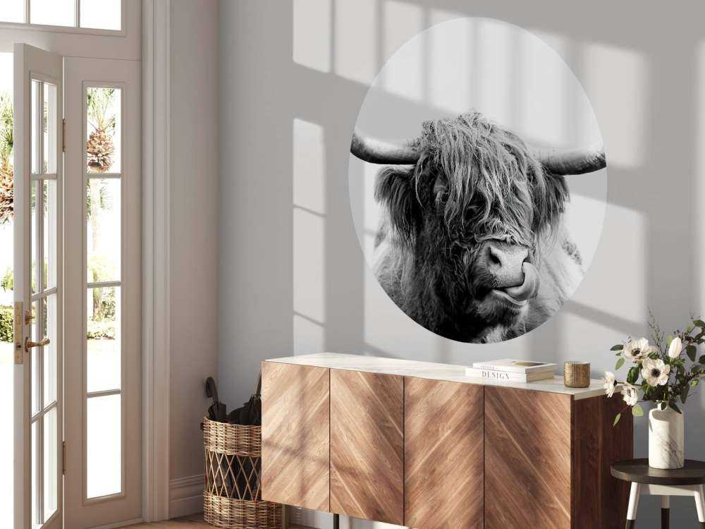 Morsomme skotske høyland