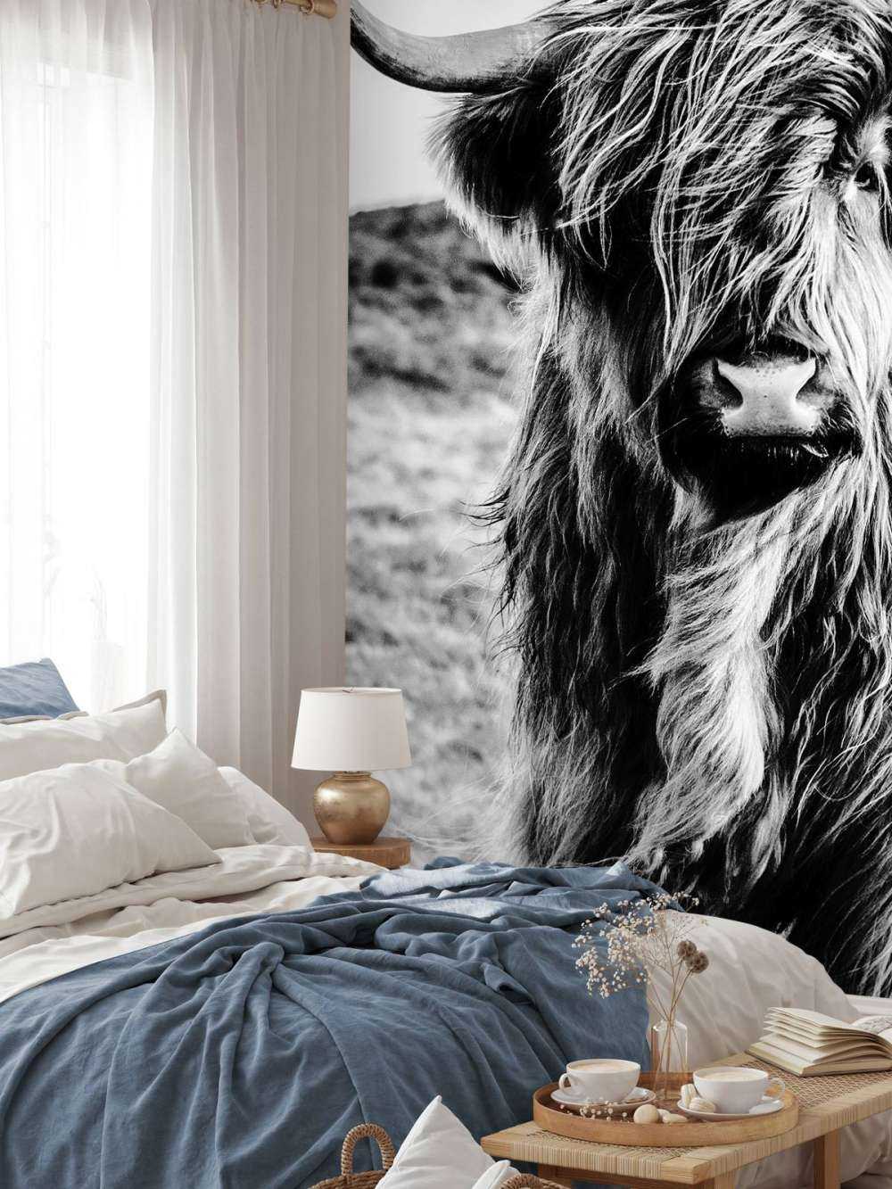 Det skotske høylandet i svart og hvitt