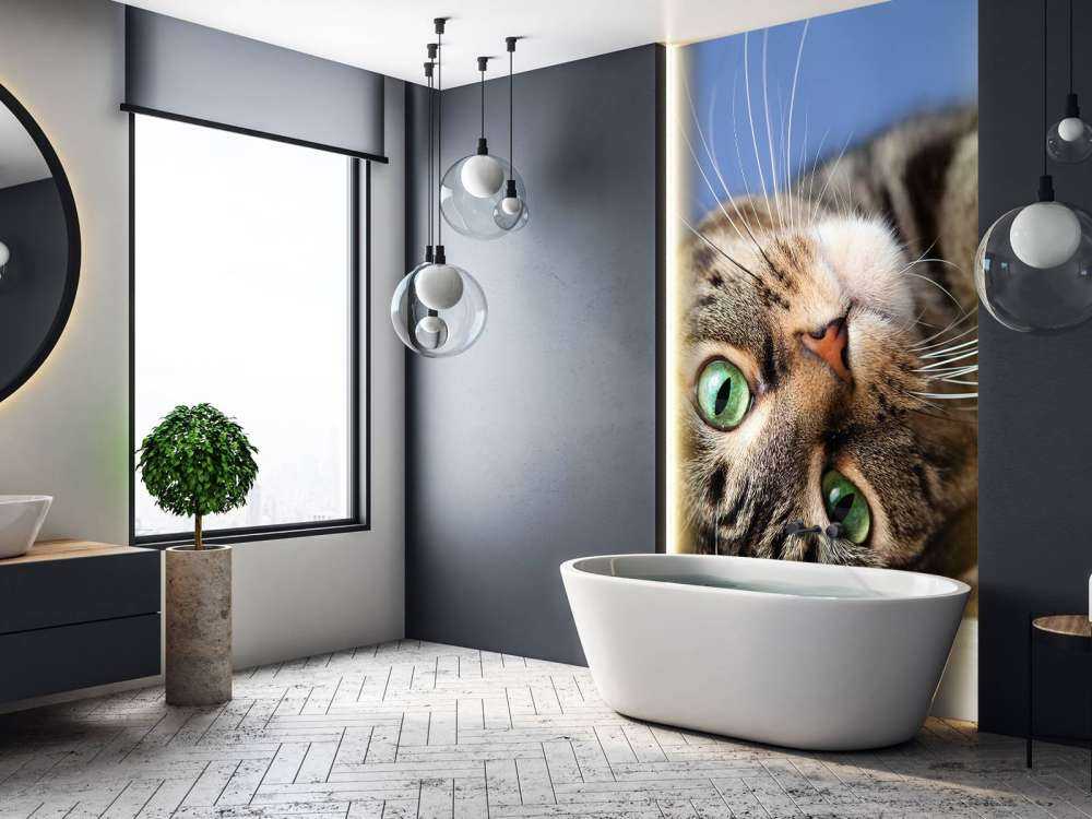 Rullende katt