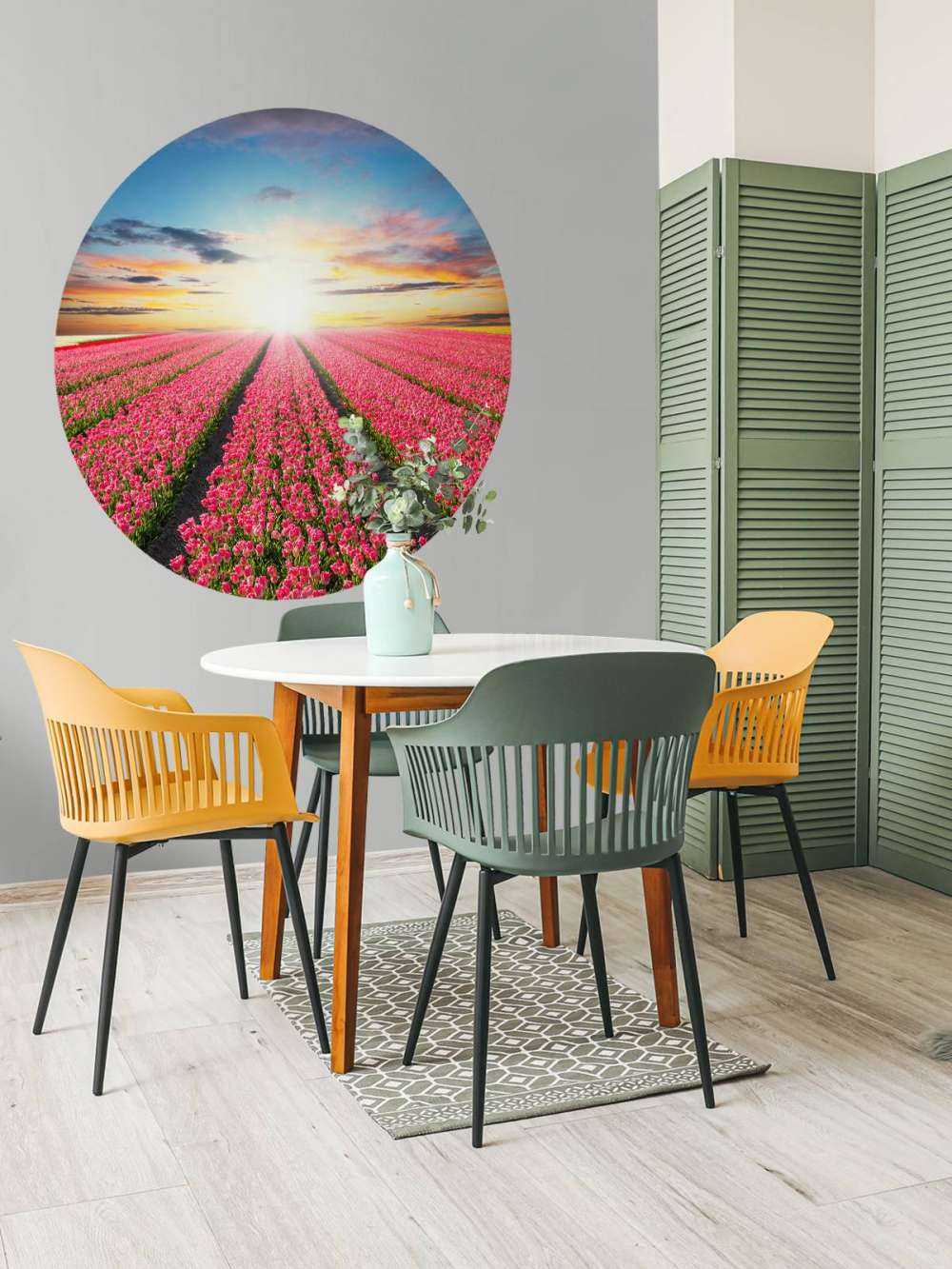 tulipanner med stigende sol