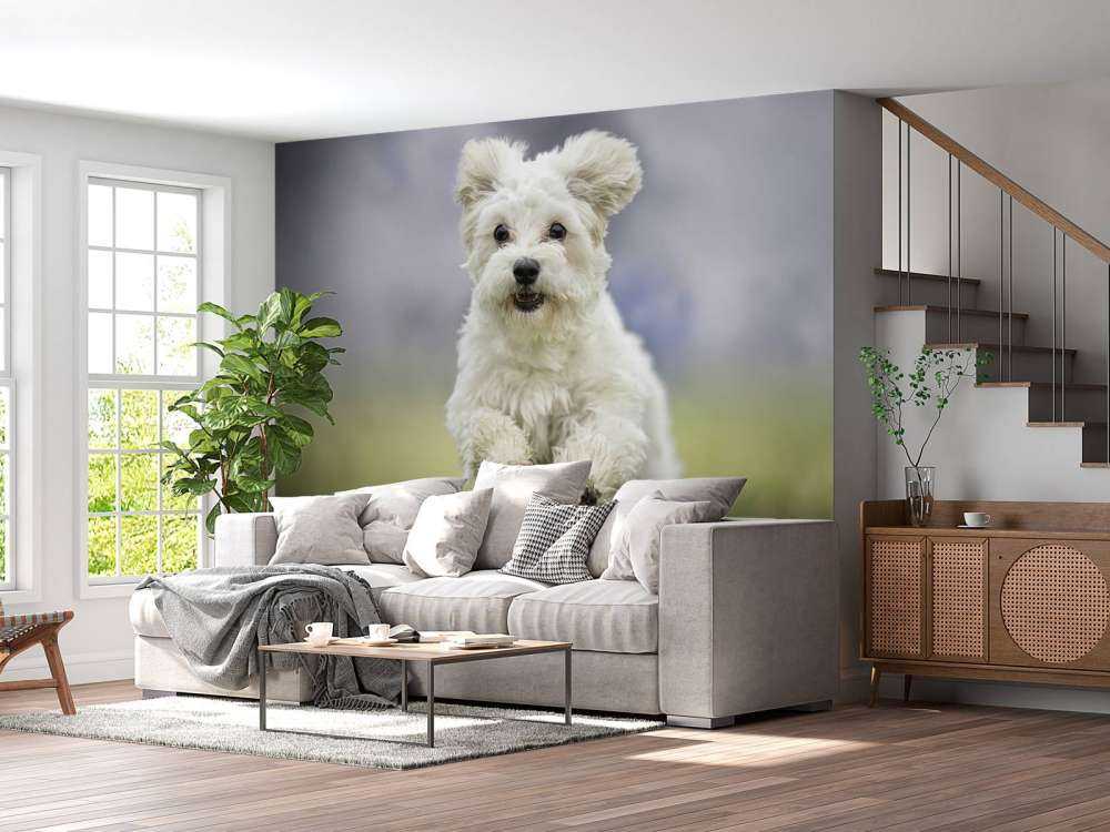Løpshund
