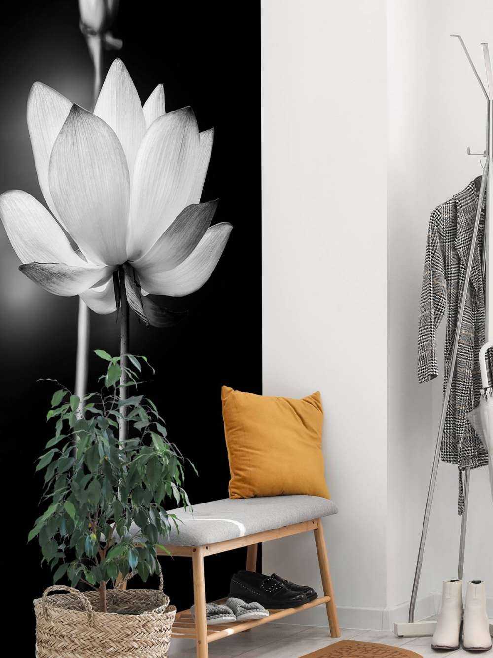 Lotusblomster svart og hvitt