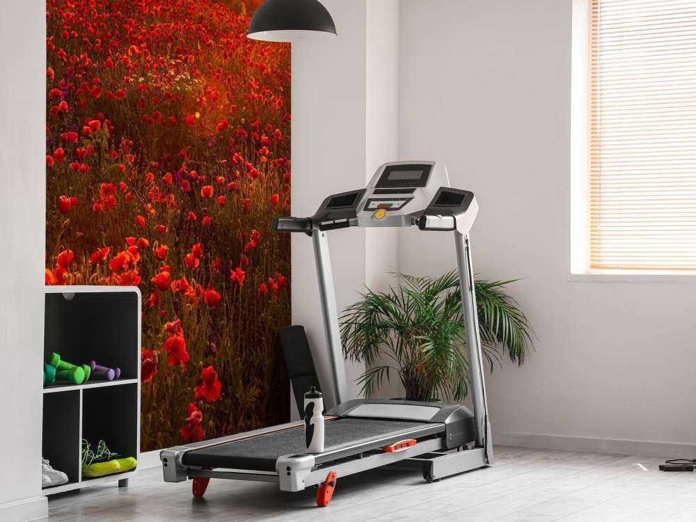 Valmuer på en høyde