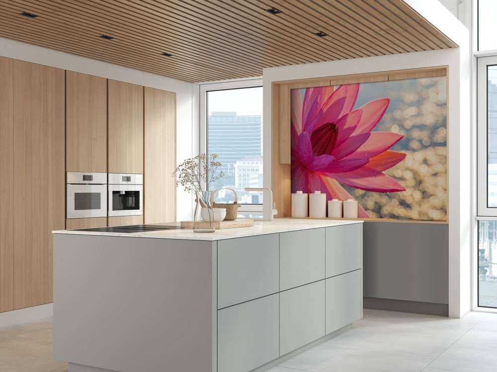 Lotusblomst på vann