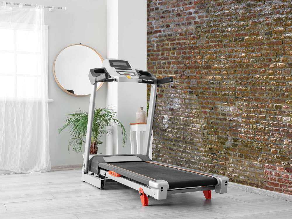 Gammel steinmur med planter