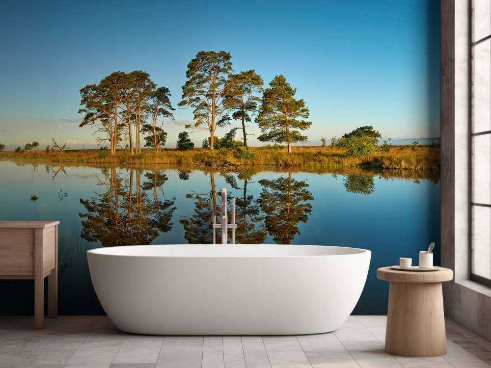 Refleksjon i skogsjøen