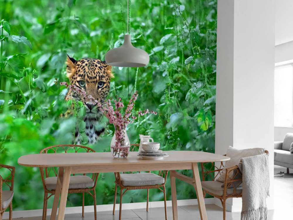 Leopard i skogen