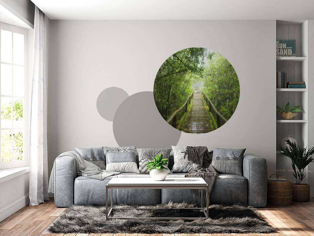 Grønn, tåkete jungel