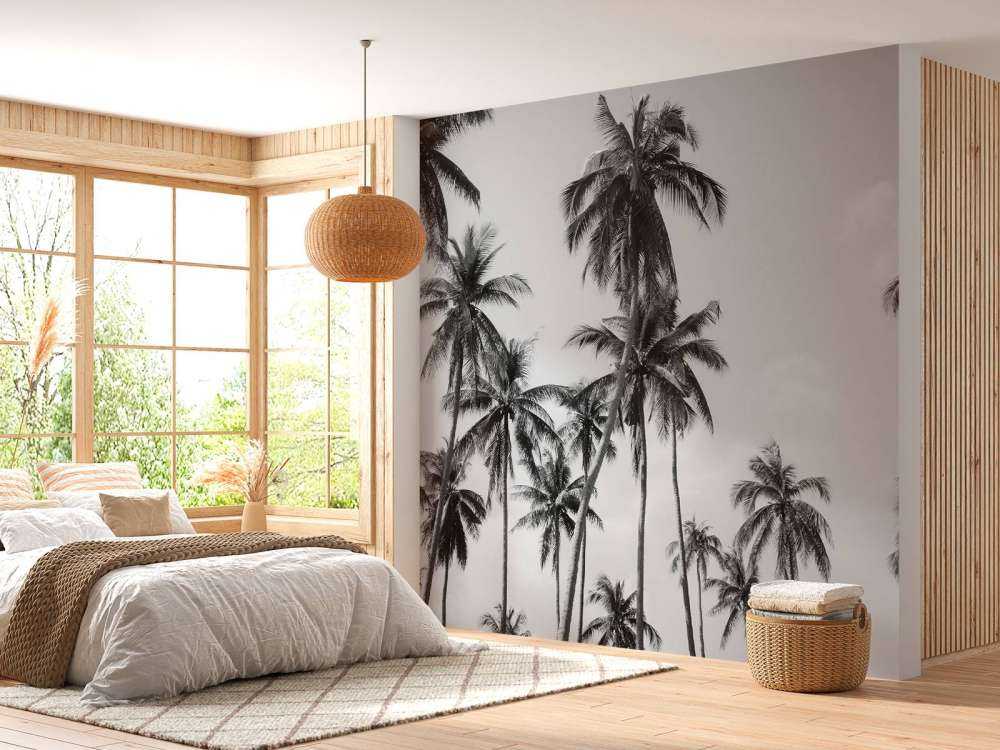 Palmer i svart og hvitt