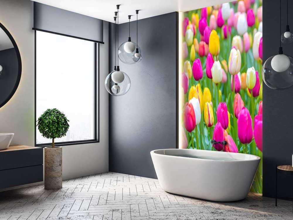 Fargerike tulipaner i en åker