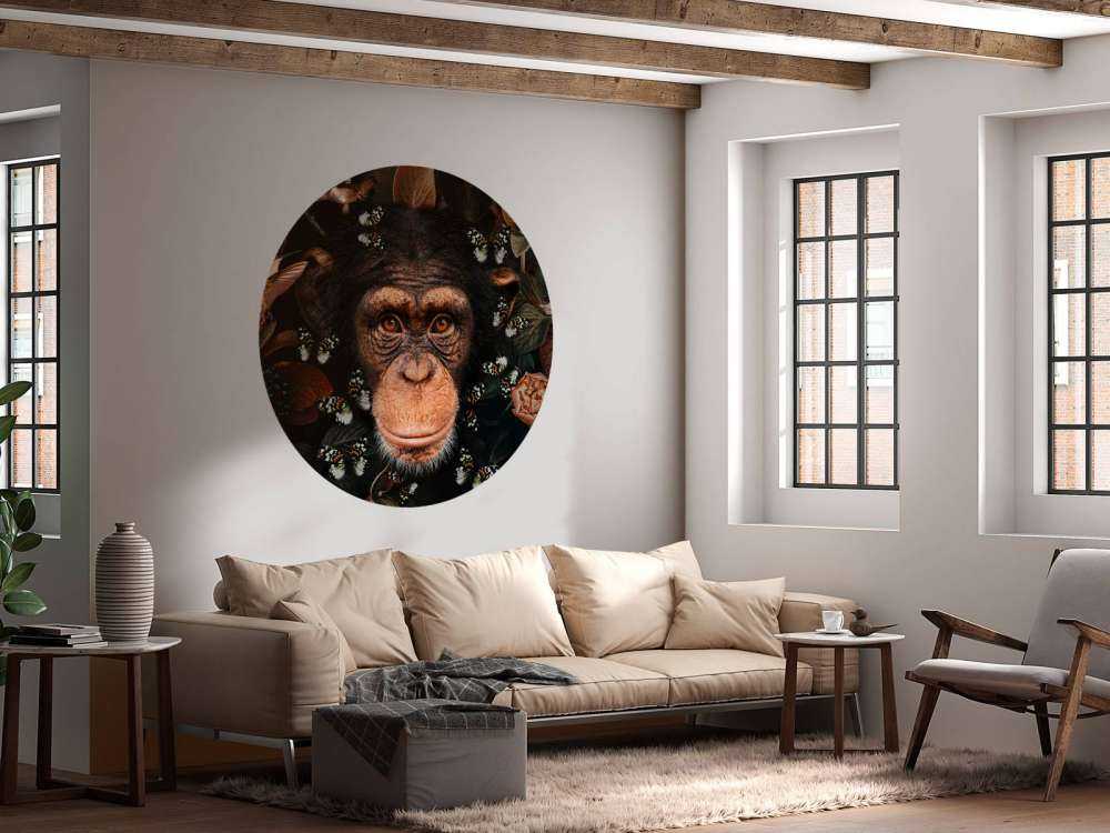Tropical Chimpanzee