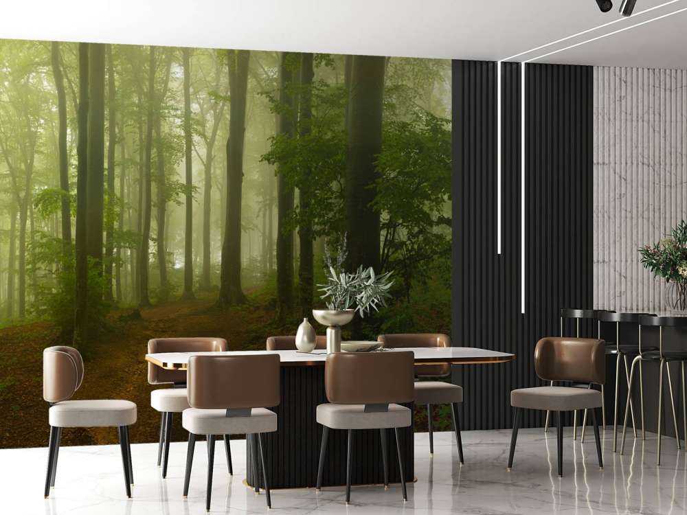 Sti gjennom tåkete grønn skog