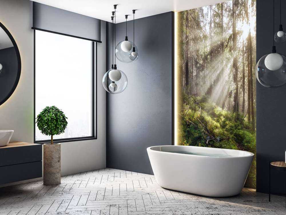 Høstskog med solskinn