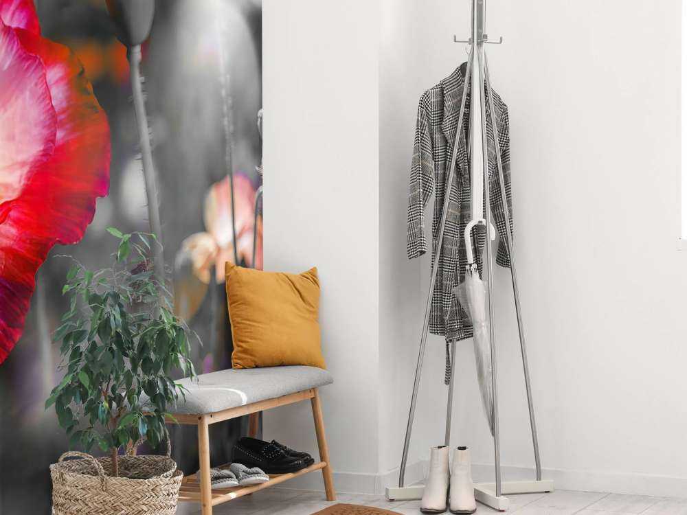 Valmuer i svart, hvitt, rødt