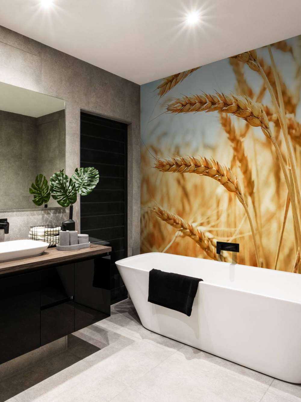 Nærbilde av en kornplante