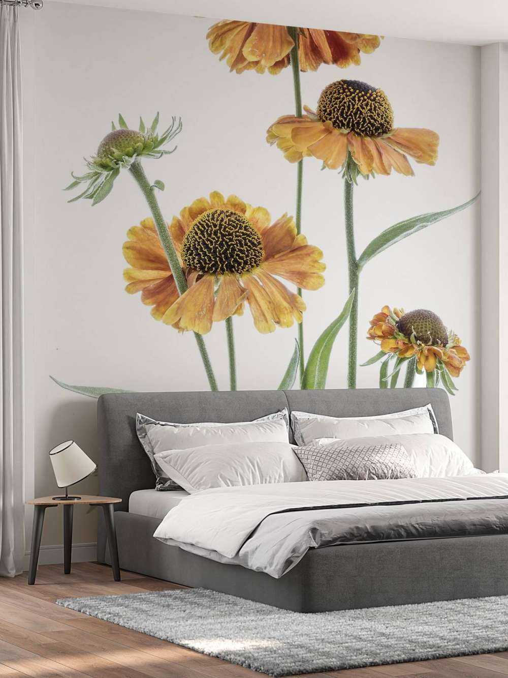 Gule helenium