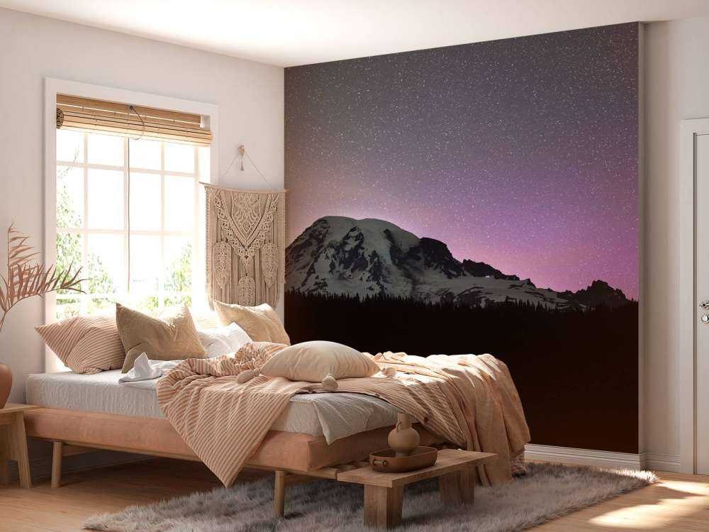 Mount Rainier med norrsken