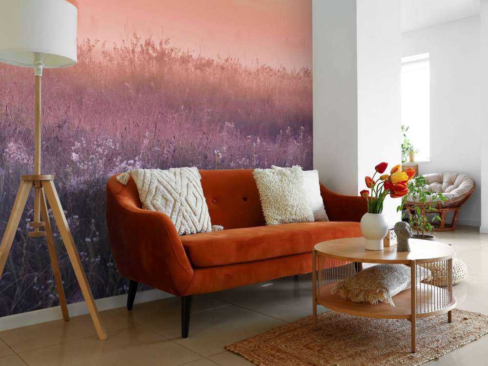 Fält med morgondimma