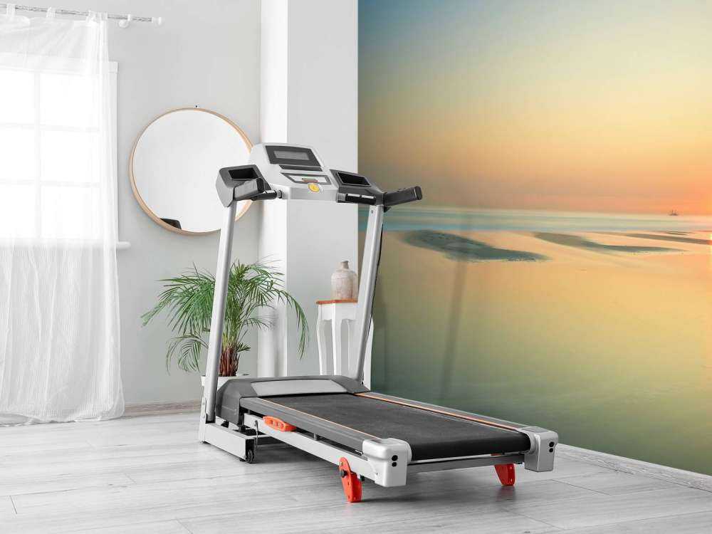 Solnedgång på skogen