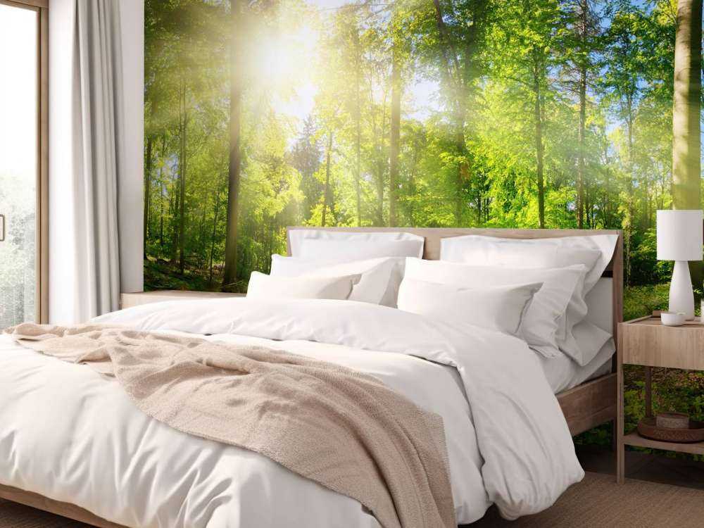 Skog med solstrålar