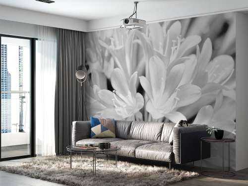 Blommor blommar, svartvita
