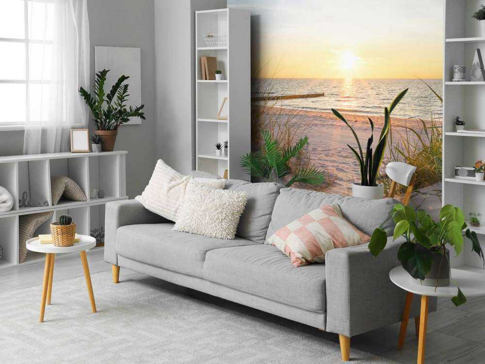 savanndynstranden med solnedgång