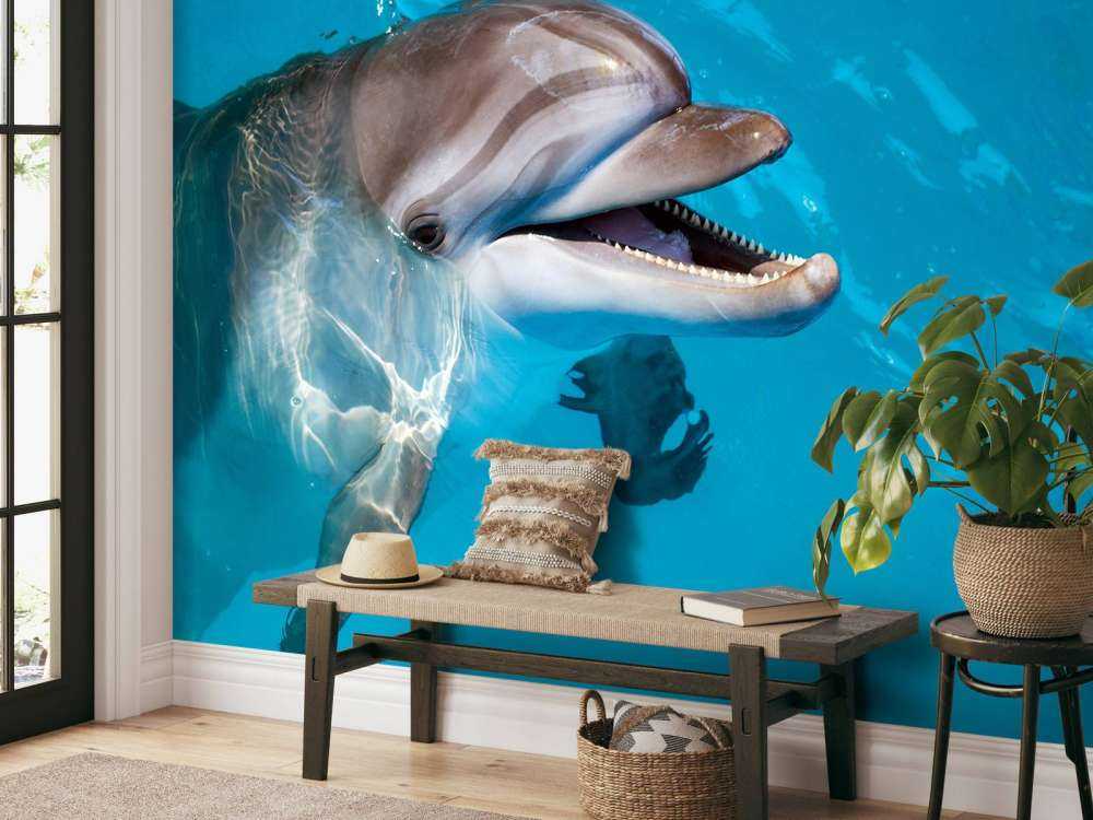 Vänlig delfin