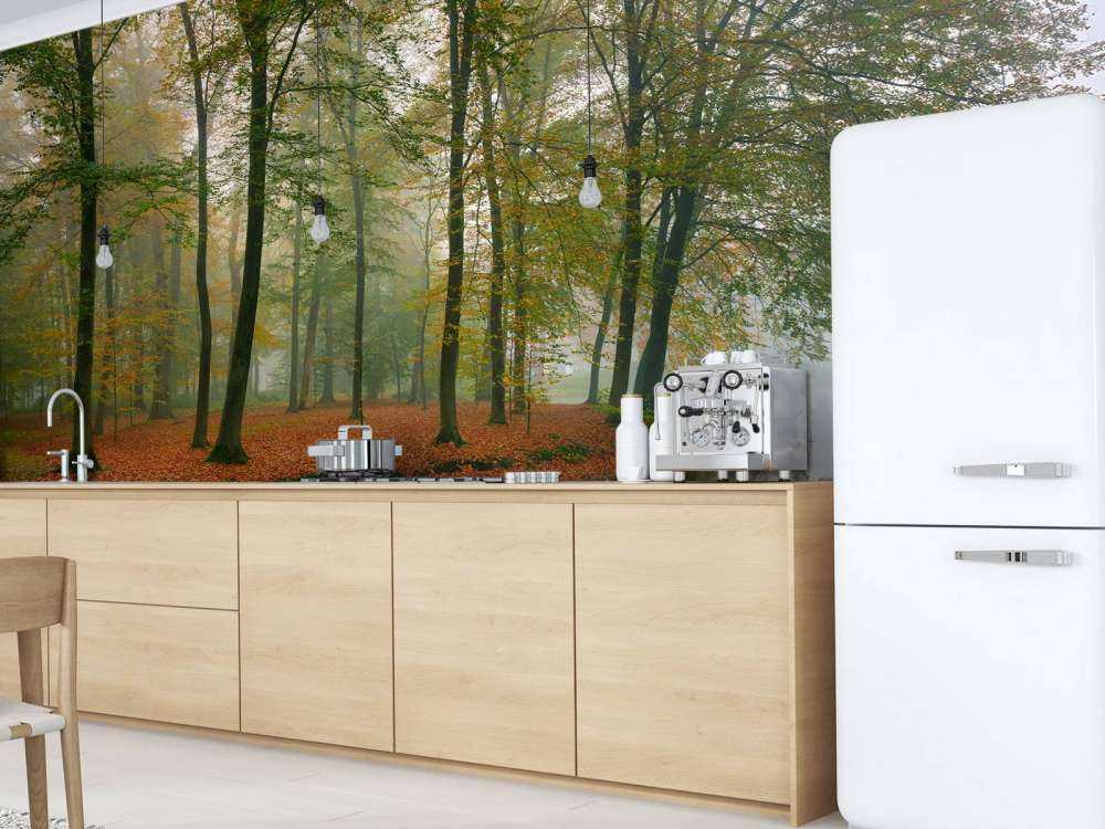 Trädens reflektion i en damm