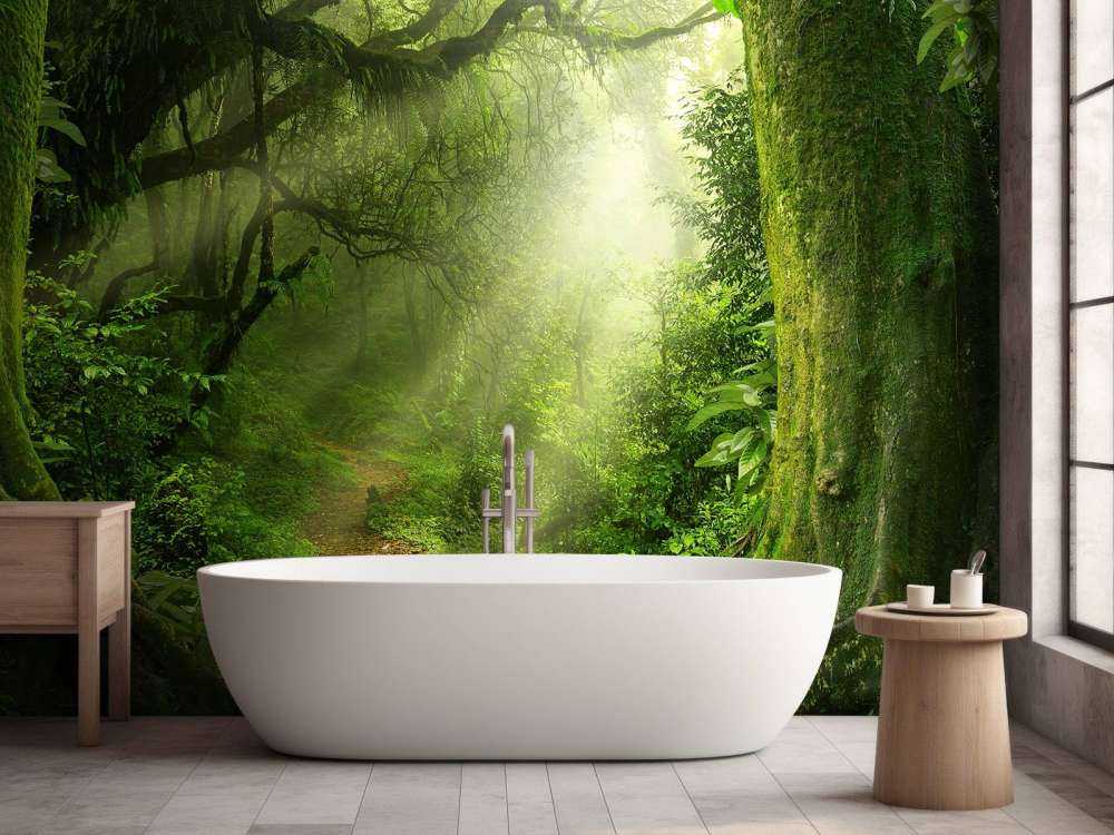 Djungel med solstrålar