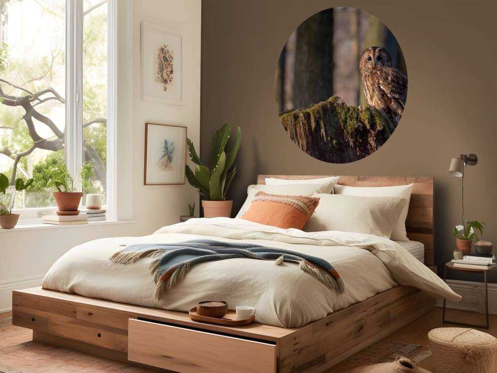 Lilla uggla på ett nedbrutet träd