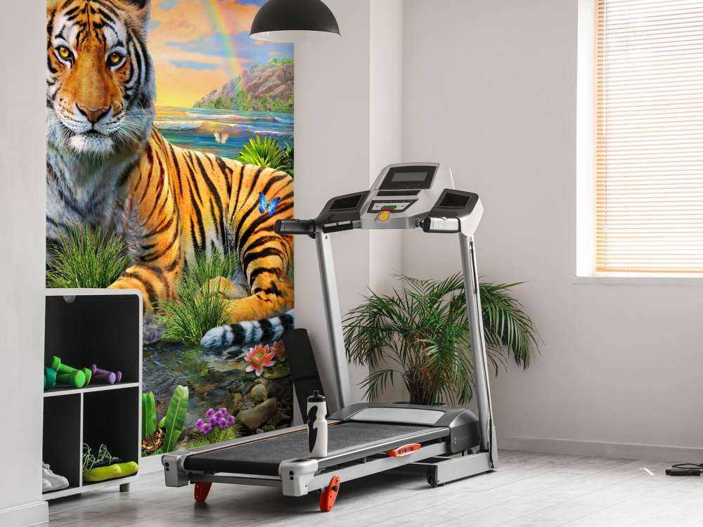King of the Jungle