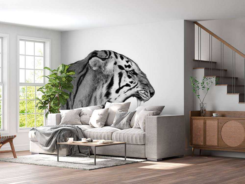 Brølende tiger hvit