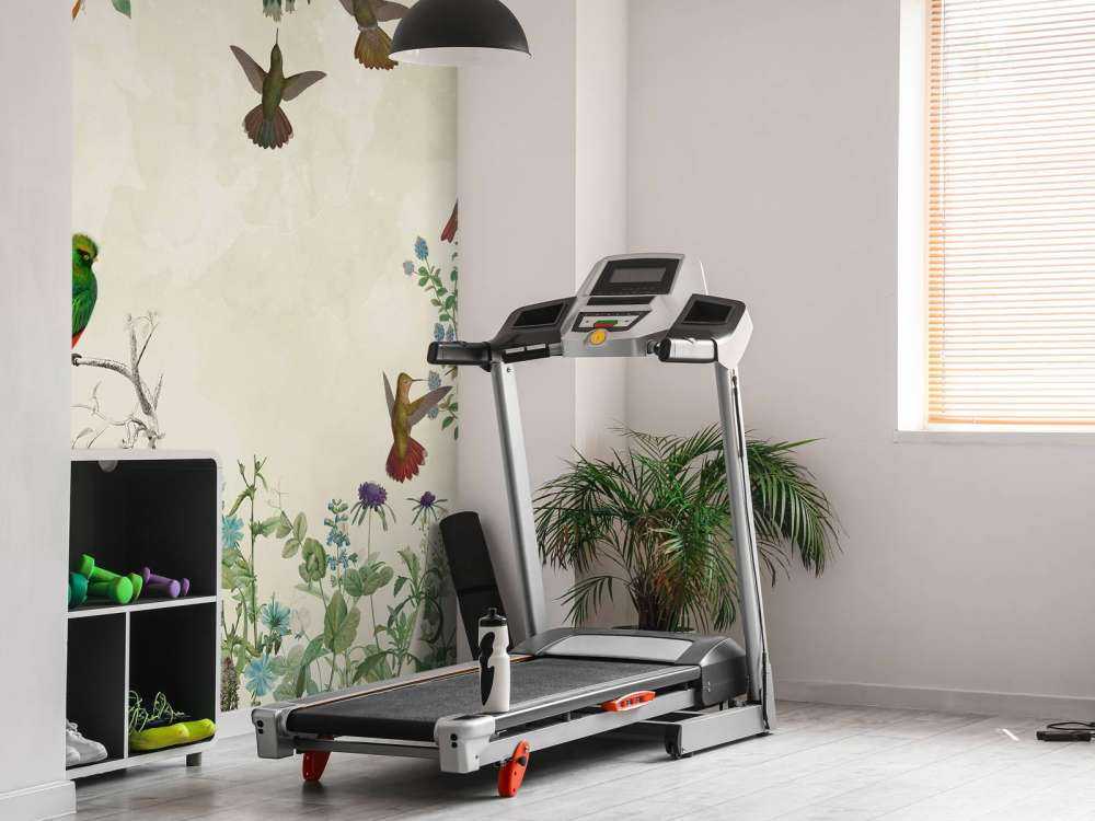 Felt av fargerike fugler