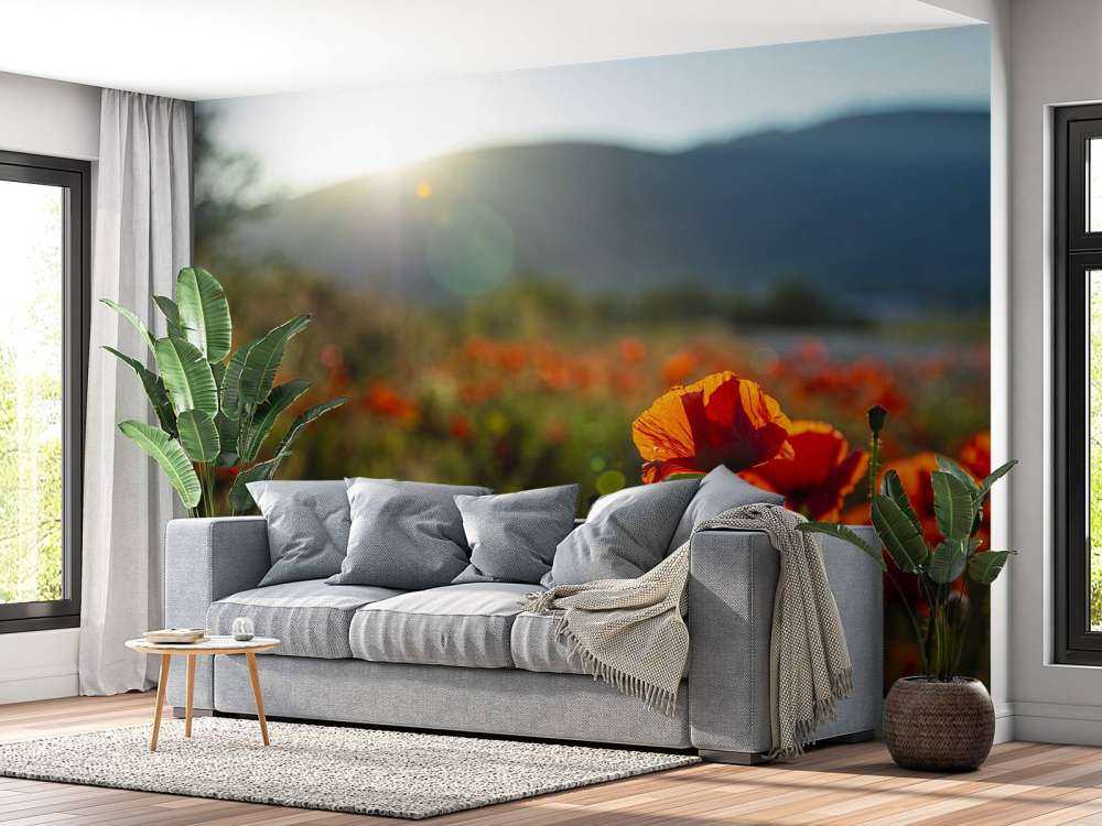 Valmuer med solstråler