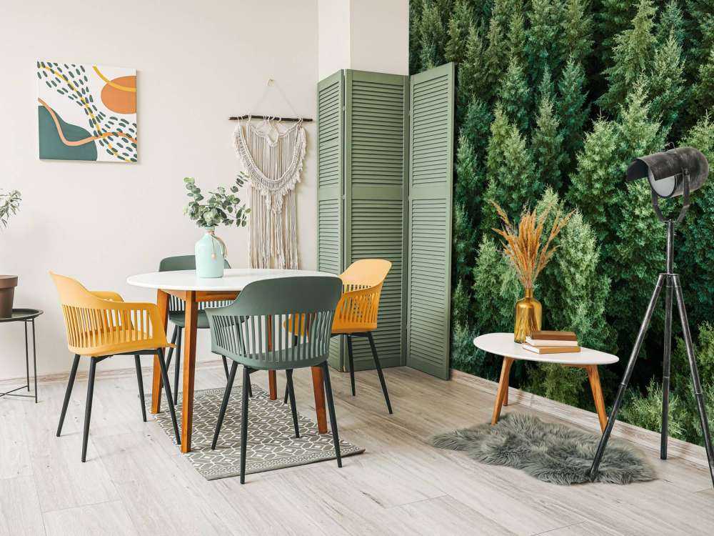 Douglas fyrer ovenfra