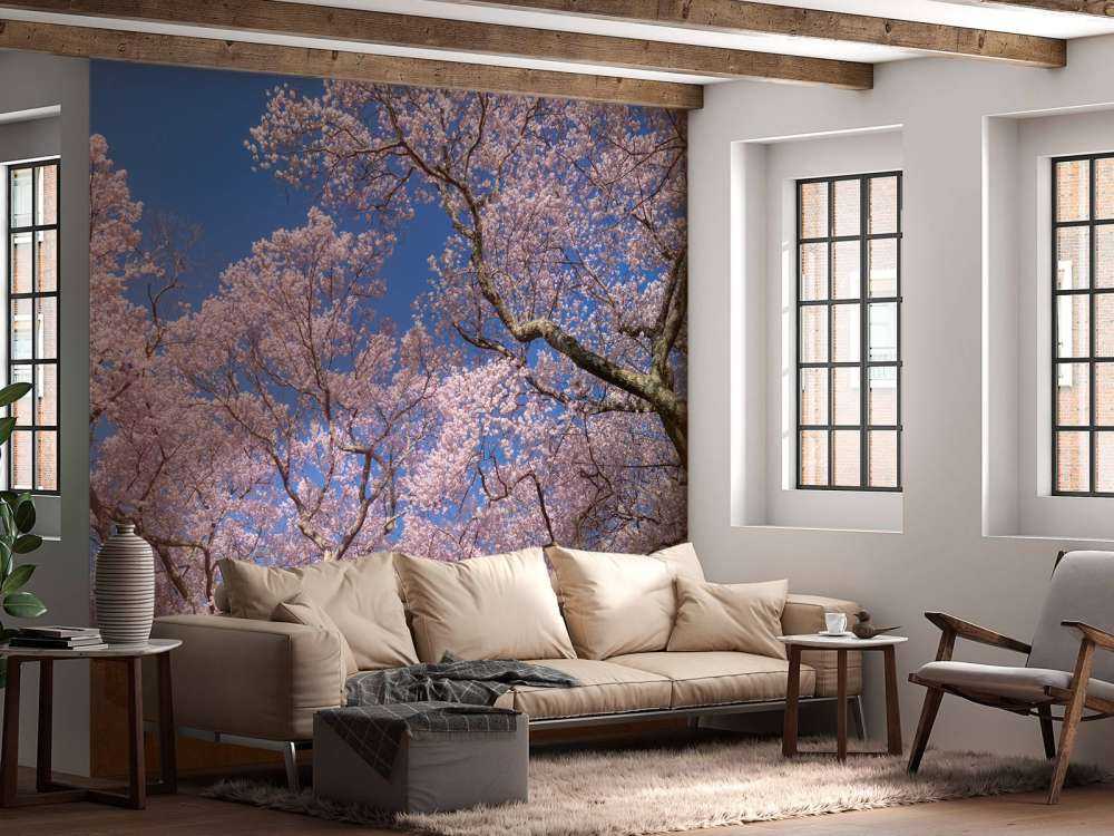 Blomstrer med blå himmel