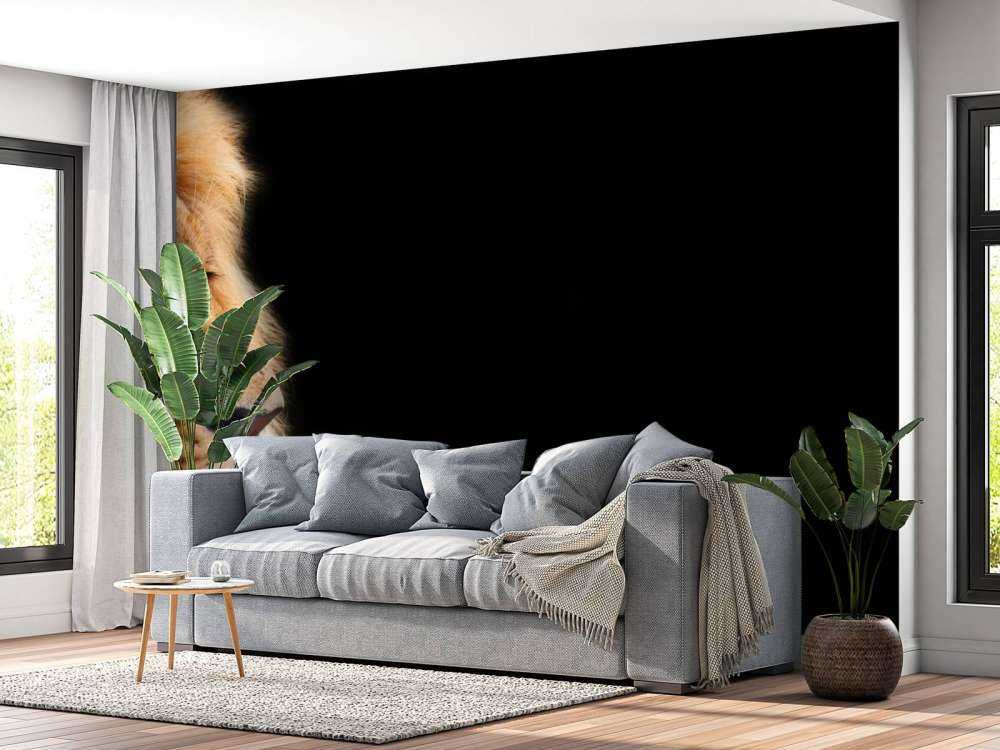 løve på nært hgammel