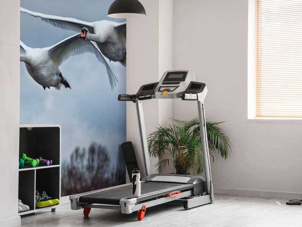 Flygende svaner
